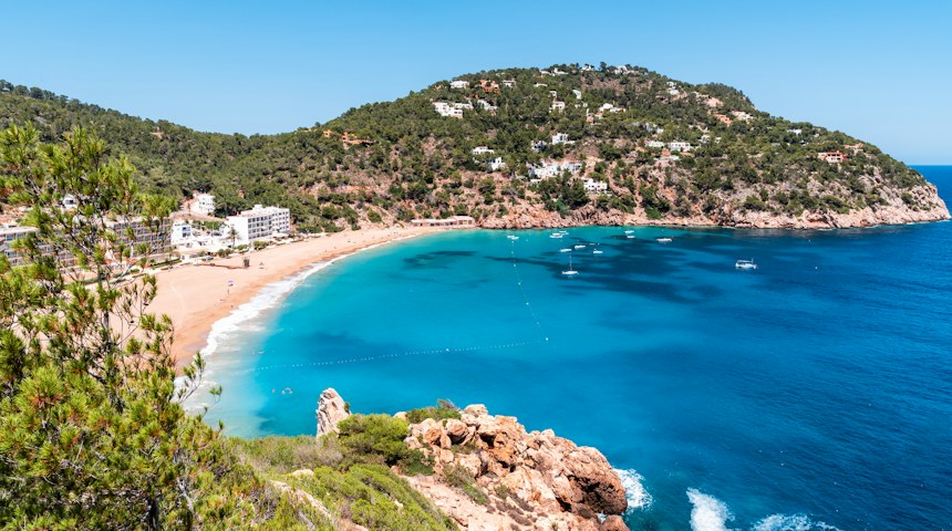 Pine trees beside a quiet cove in Ibiza