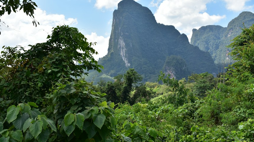 Mountain range covered in forest in northern Thailand